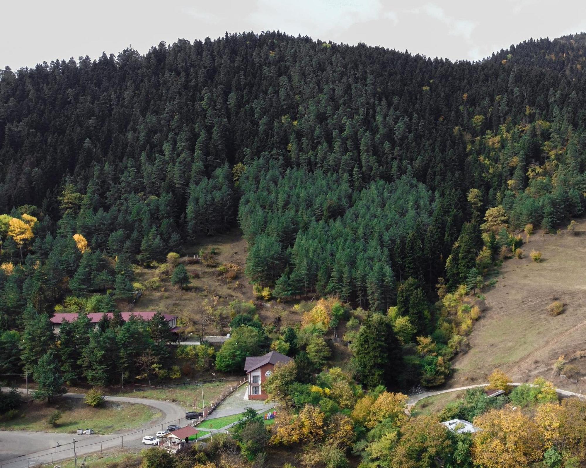 Holiday Borjomi Qvibisi Dış mekan fotoğraf