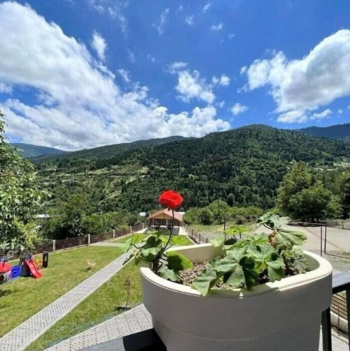 Holiday Borjomi Qvibisi Dış mekan fotoğraf