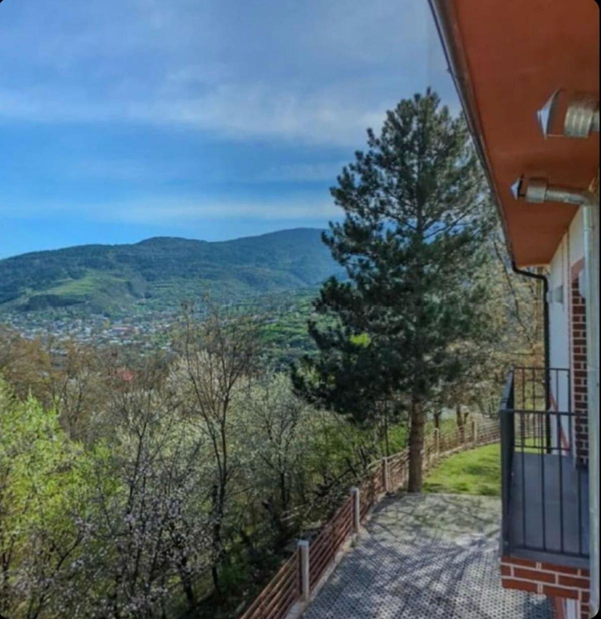Holiday Borjomi Qvibisi Dış mekan fotoğraf
