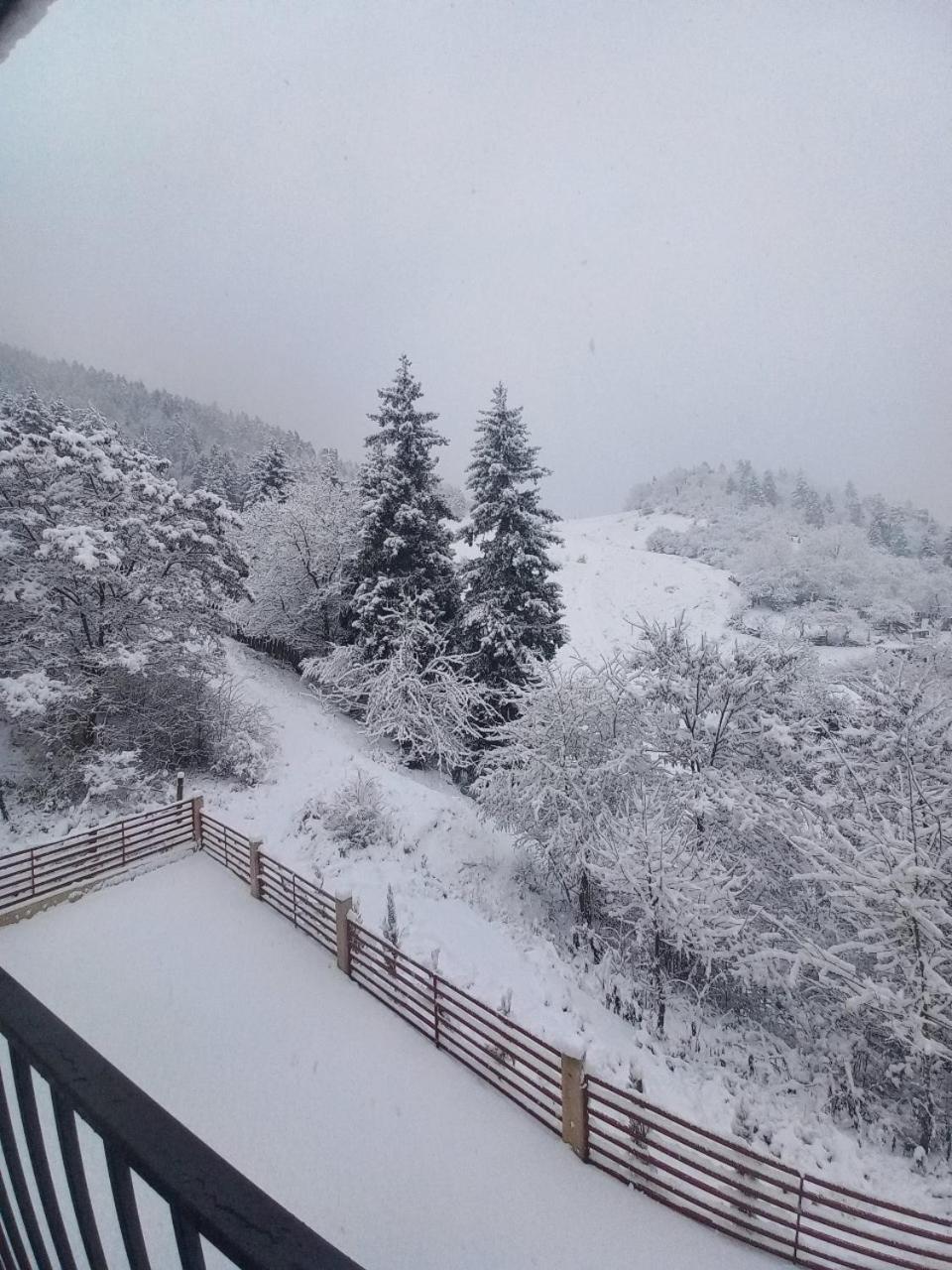 Holiday Borjomi Qvibisi Dış mekan fotoğraf