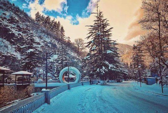 Holiday Borjomi Qvibisi Dış mekan fotoğraf