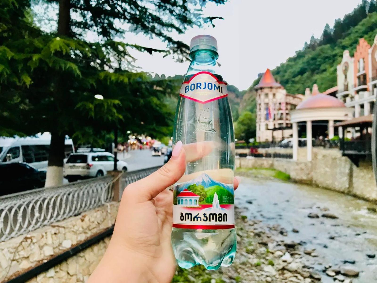 Holiday Borjomi Qvibisi Dış mekan fotoğraf